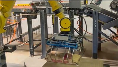 Robotic Bag Palletizer Robotic Bag Palletizer